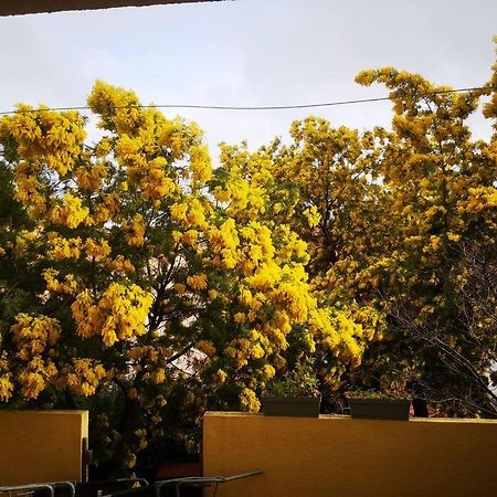 Appartement Proche Mer Avec Terrasse Et Jardin Privatif Hyères Exteriér fotografie