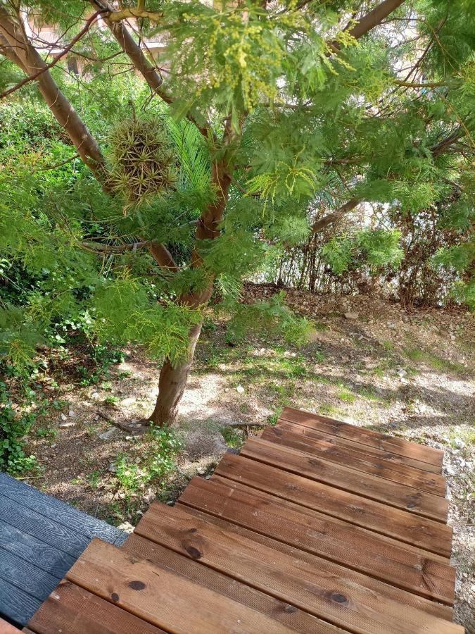 Appartement Proche Mer Avec Terrasse Et Jardin Privatif Hyères Exteriér fotografie